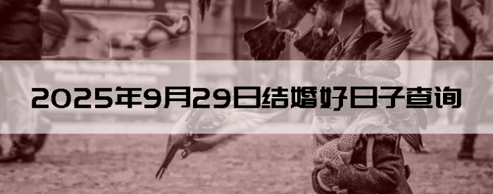 2025929ʺϽ