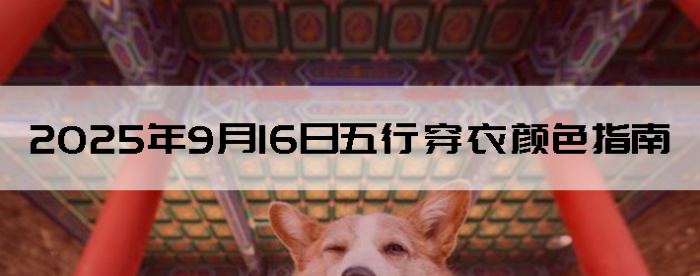 2025916дɫָ