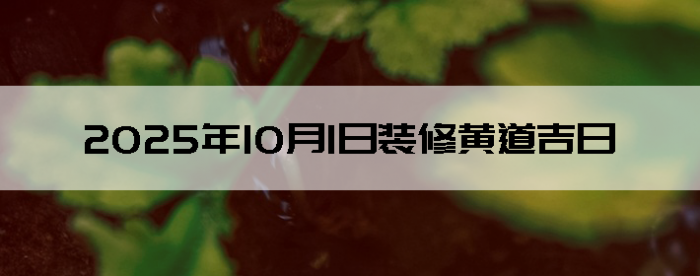 2025101װ޵