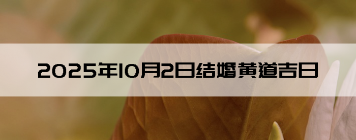 2025102ô