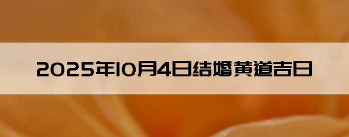 2025104ô