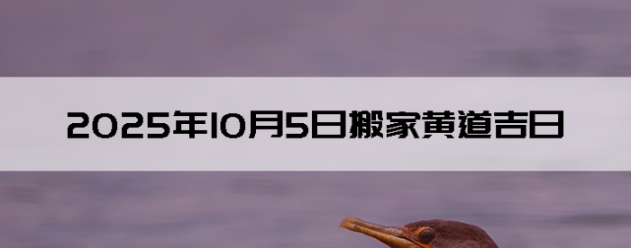 2025105ʺϰ