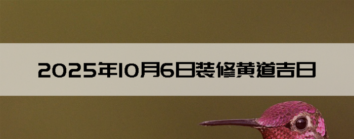 2025106ʺװ