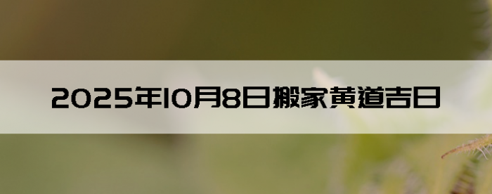 2025108ʺϰ