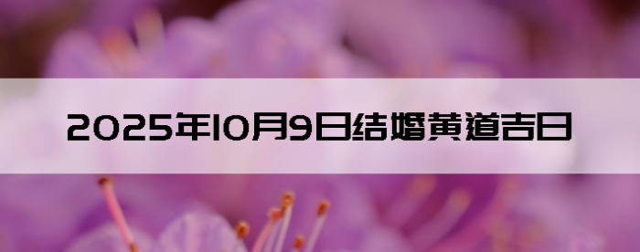 2025109ô