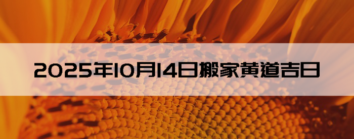 20251014հҺӲѯ