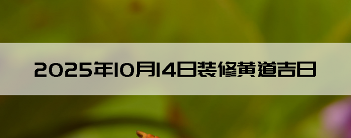 20251014װ޵