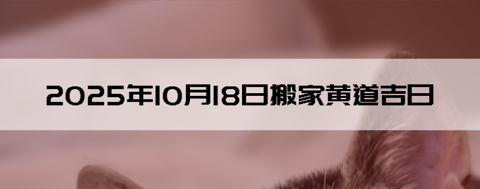 20251018ʺϰ