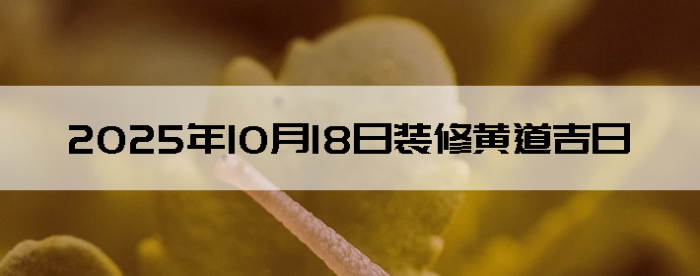 20251018ʺװ