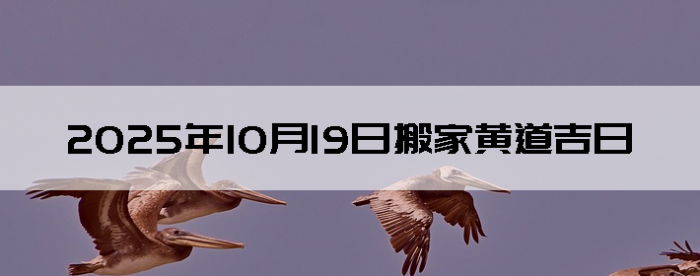 20251019հҺӲѯ