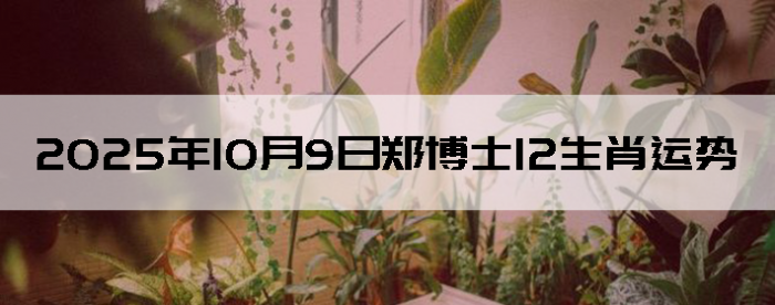 2025109֣ʿ12Ф