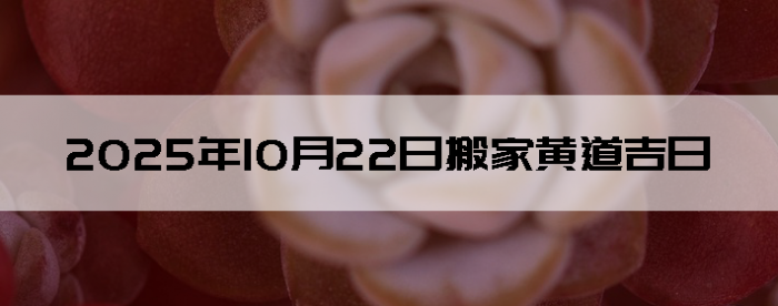 20251022ʺϰ