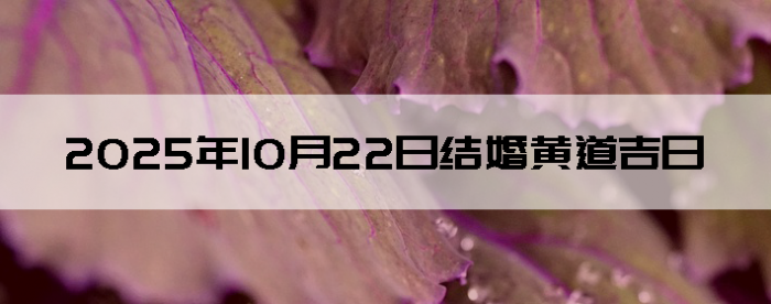 20251022ս