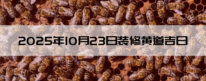 20251023װô