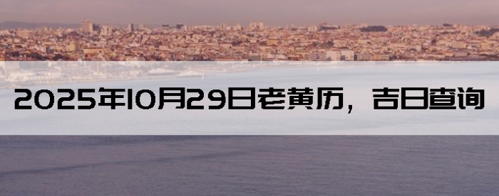 20251029ϻղѯ