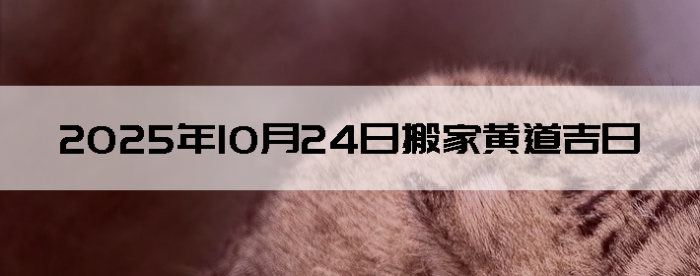 20251024ʺϰ