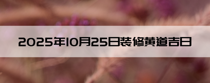 20251025װô
