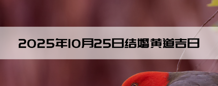 20251025ʺϽ