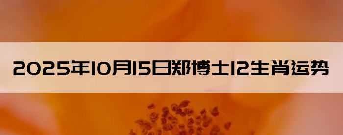 20251015֣ʿ12Ф