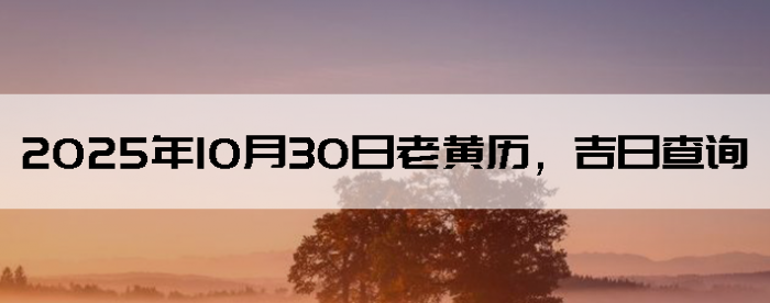 20251030ϻղѯ