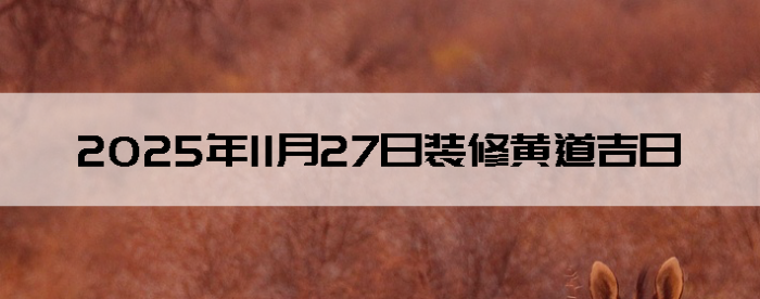 20251027ʺװ