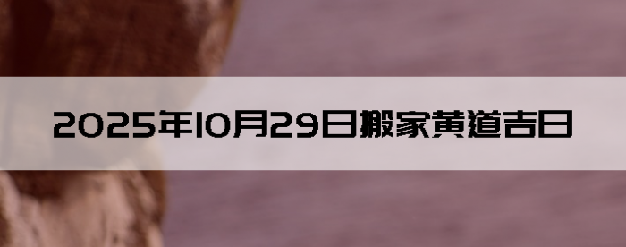 20251029հҵ