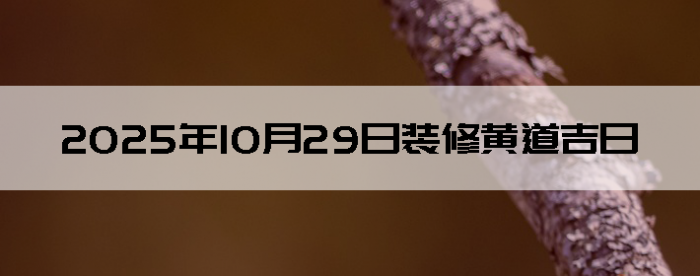 20251029װ޺Ӳѯ