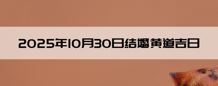 20251030ô
