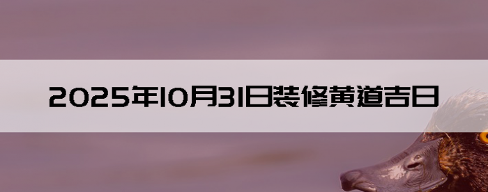 20251031װ޼