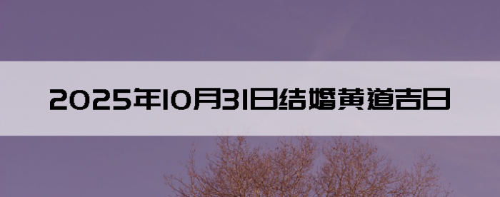 20251031ս