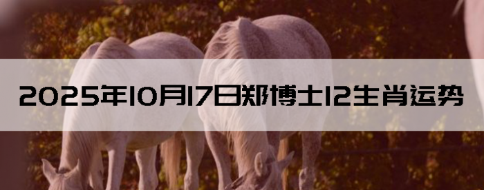 20251017֣ʿ12Ф
