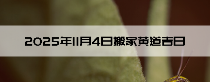 2025114ô