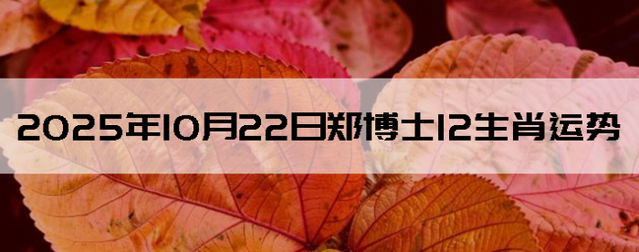 20251022֣ʿ12Ф