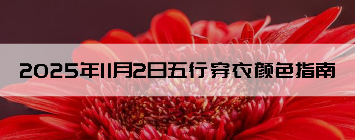 2025年11月2日五行穿衣颜色指南