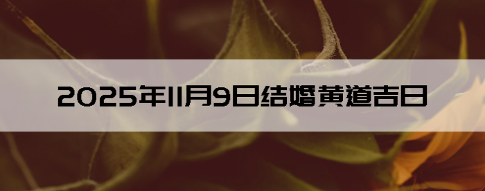 2025年11月9日结婚吉利的日子