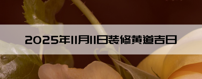 2025年11月11日这天装修怎么样