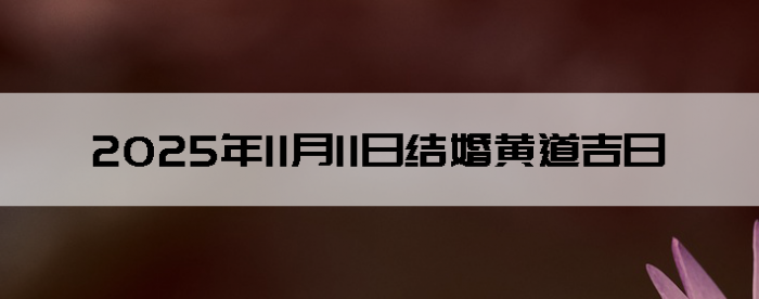 2025年11月11日结婚吉利的日子