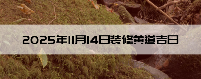 2025年11月14日装修吉利的日子