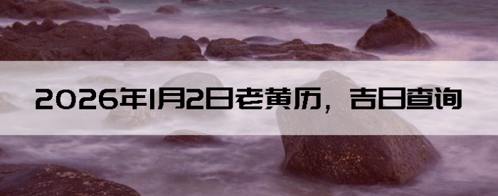 2026��1��2���ϻ��������ղ�ѯ