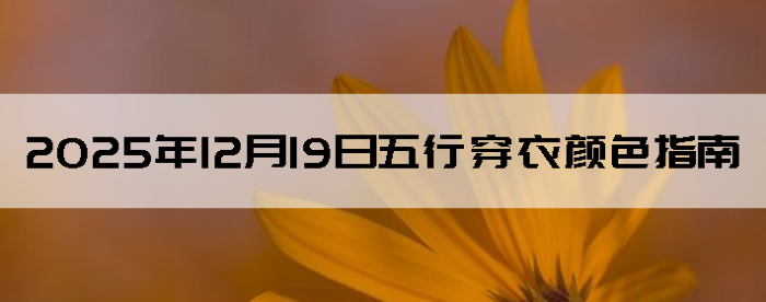 2025��12��19�����д�����ɫָ��