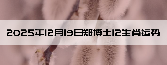 2025��12��19��֣��ʿ12��Ф����