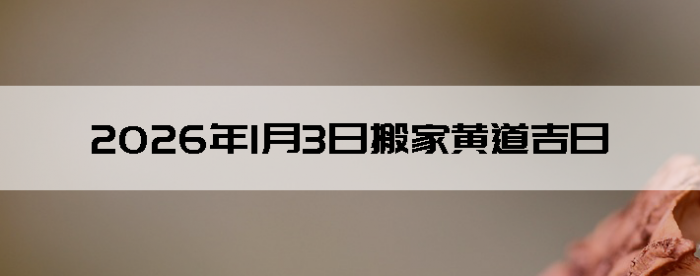 2026��1��3�հ�ҵ���������