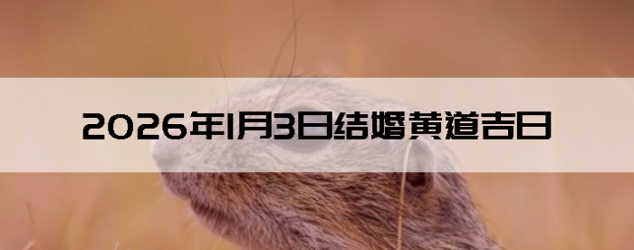 2026��1��3�ս�鼪��������