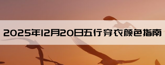 2025��12��20�����д�����ɫָ��