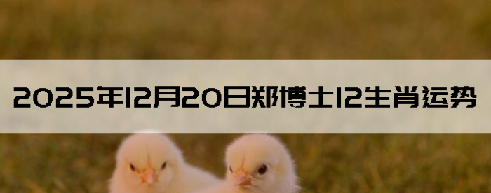 2025��12��20��֣��ʿ12��Ф����