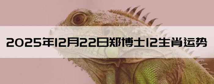 2025��12��22��֣��ʿ12��Ф����