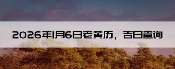 2026��1��6���ϻ��������ղ�ѯ