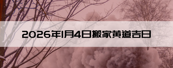 2026��1��4�հ�Һ����Ӳ�ѯ