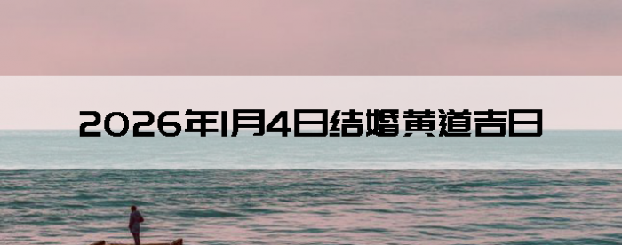 2026��1��4�ս������Ӳ�ѯ