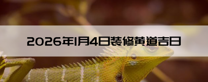 2026��1��4�������ʺ�װ����